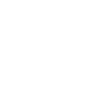 FitoMorey